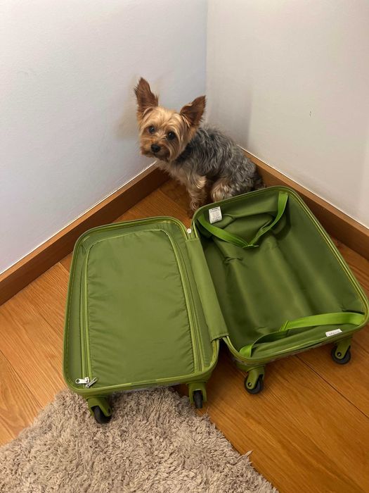 Mala de viagem de criança