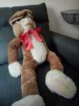 Peluche da Steiff - Coelho - Ref: 6282/75