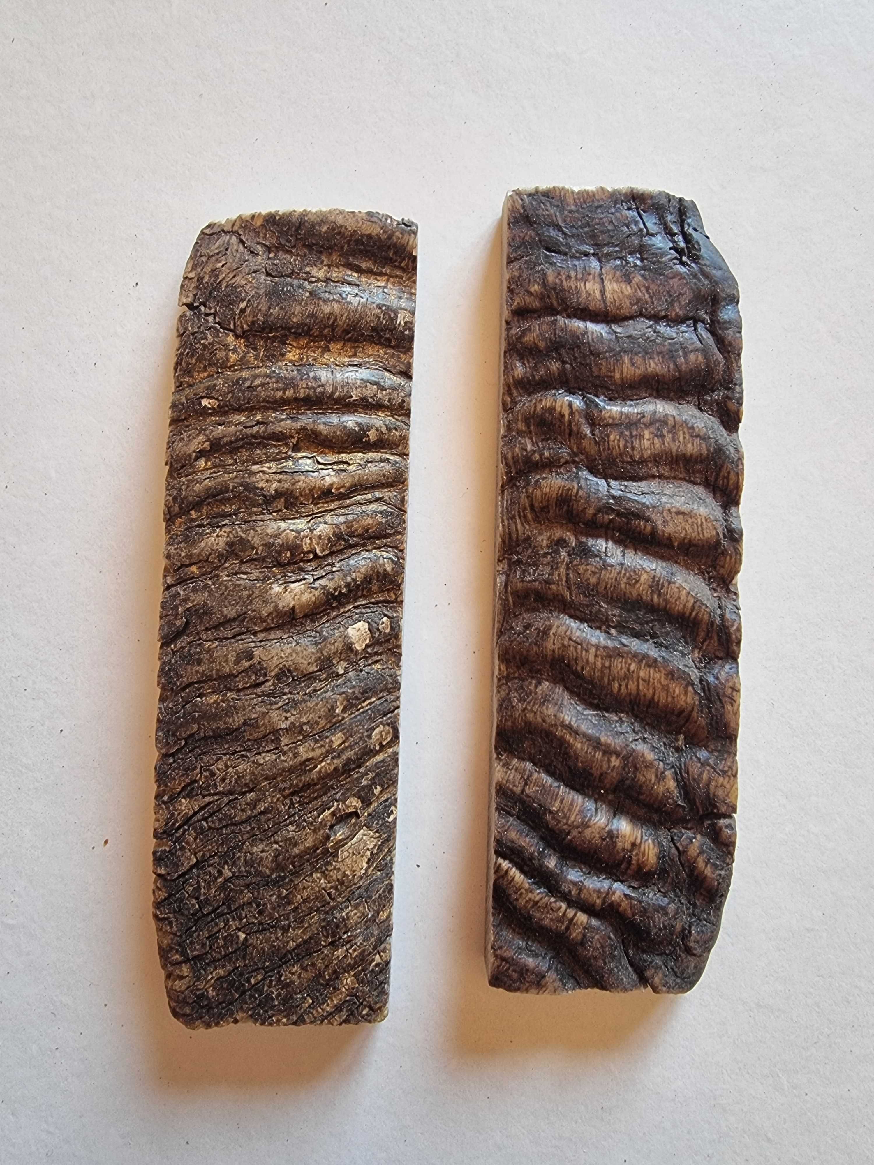 Talas de Carneiro