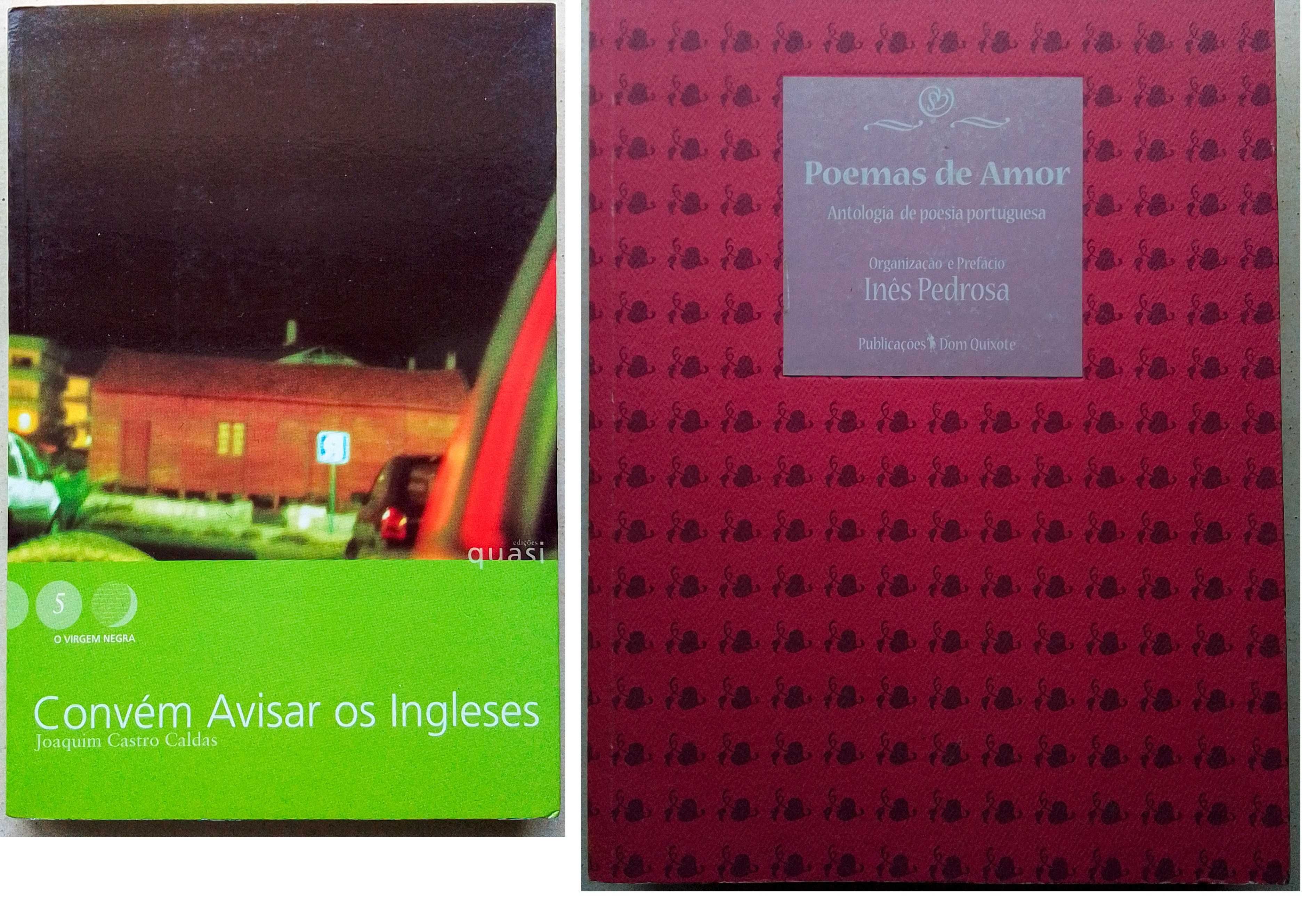Lote de 23 livros de poesia
