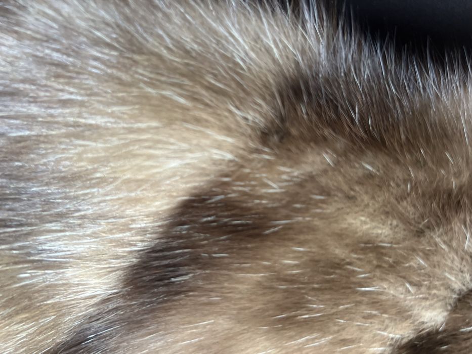 Шуба норка капюшон соболь баргузин