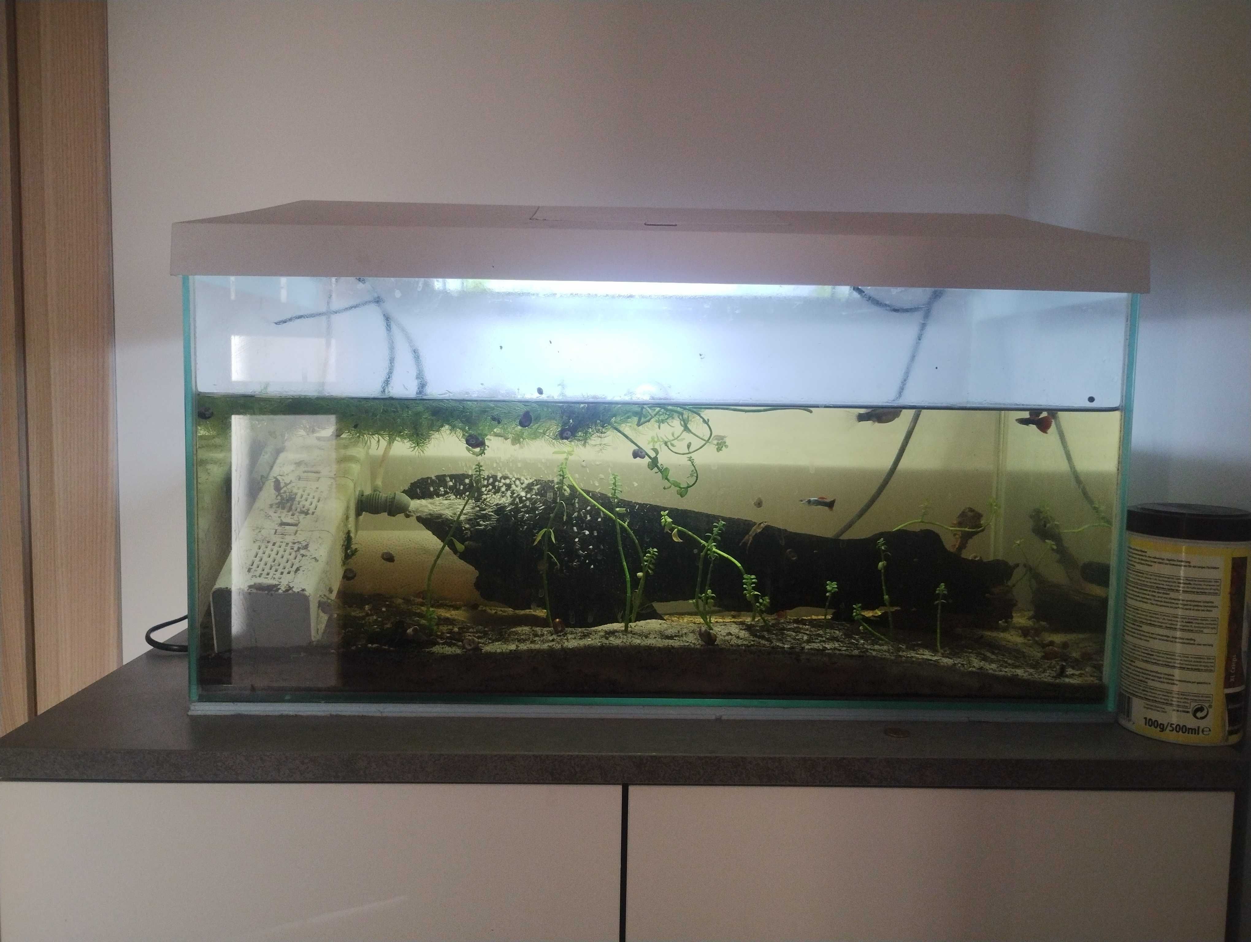 Akwarium leddy 50 l
