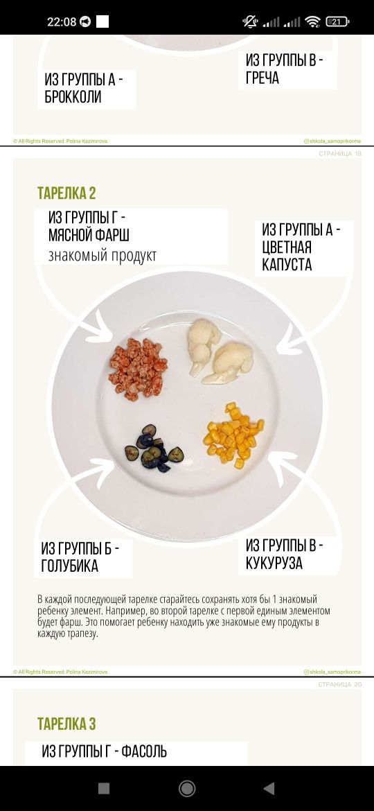 Курс по самоприкорму Полины Казимировой