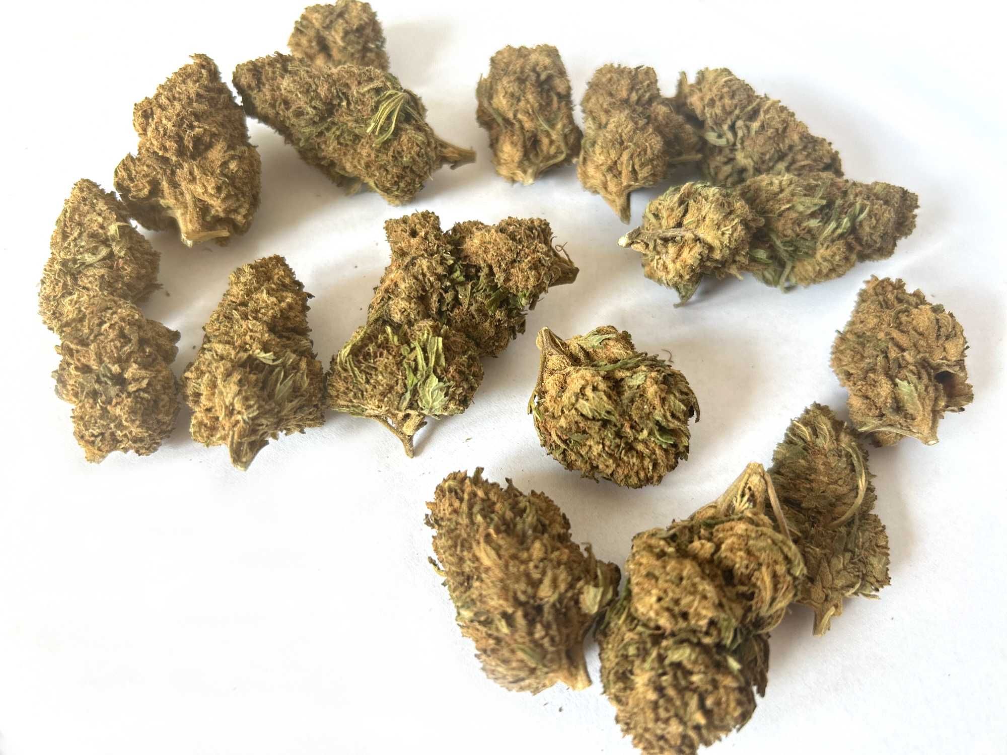 LEMON HAZE CBD 500G Susz Konopny PREMIUM Naturalny Top Weed Hurt
