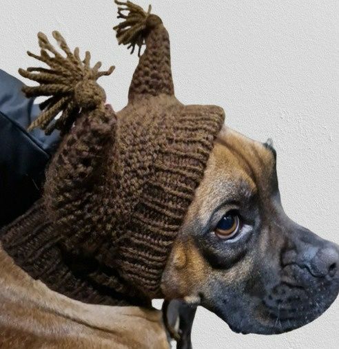 Шапочка шапка для маленькой собаки