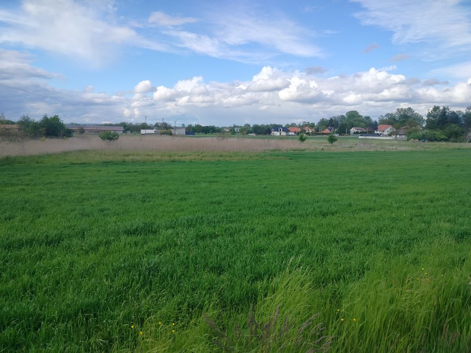 Działka 30 ar w Głuchowie koło Łańcuta