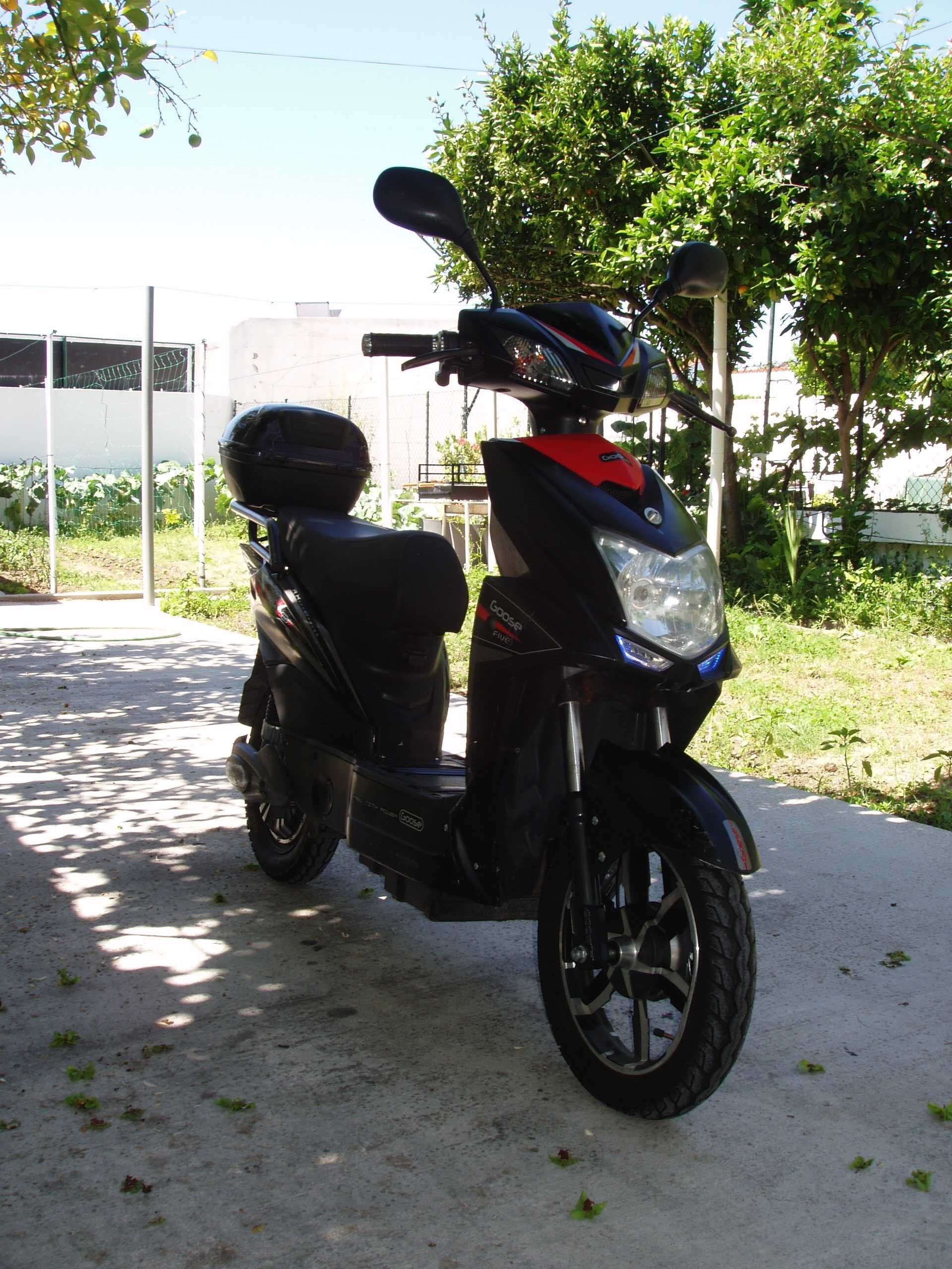 Scooter Elétrica Goose