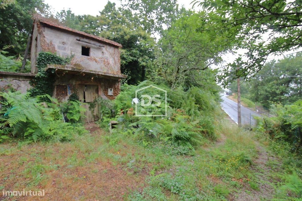 Terreno  Venda em Souselo,Cinfães