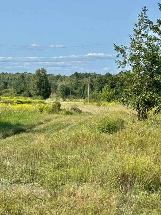 Продам земельну ділянку с. Калинівка 6,9 га