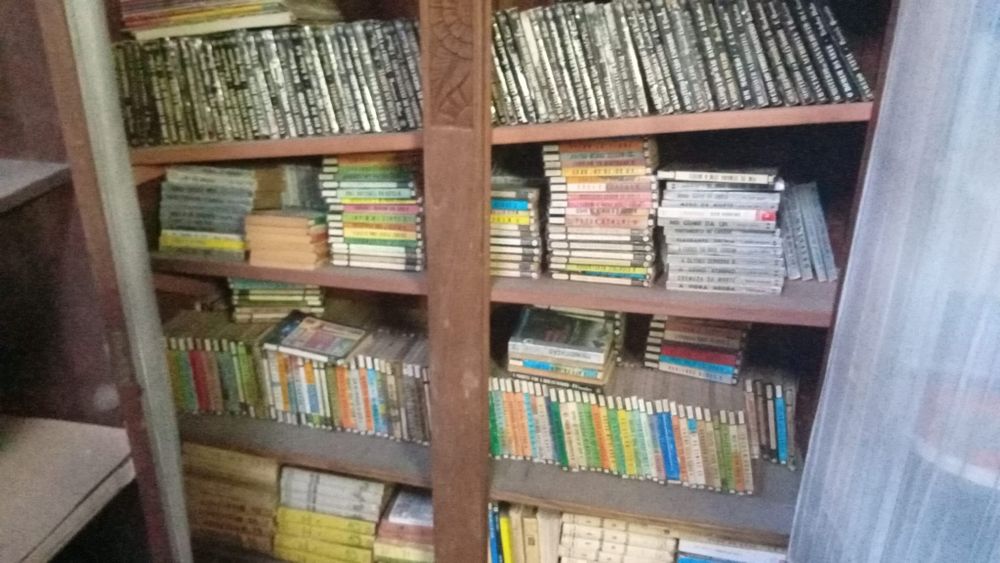 Livros Enigma Vampiro