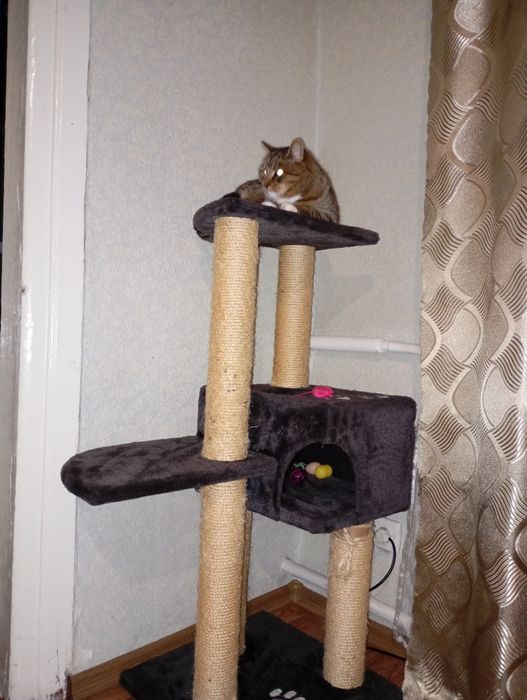 Будиночк для кота