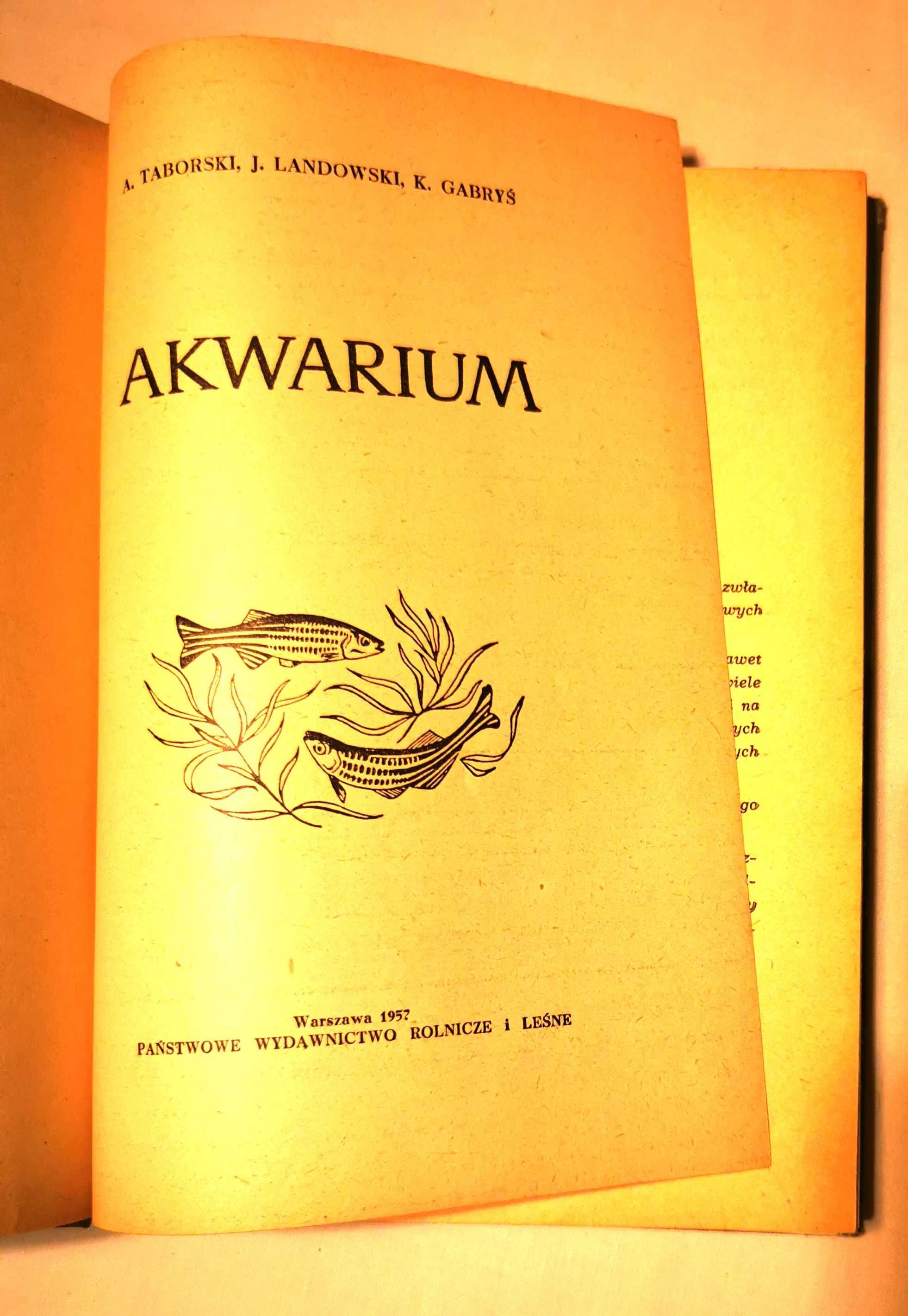 "Akwarium" Taborski,  Landowski, Gabryś 1957