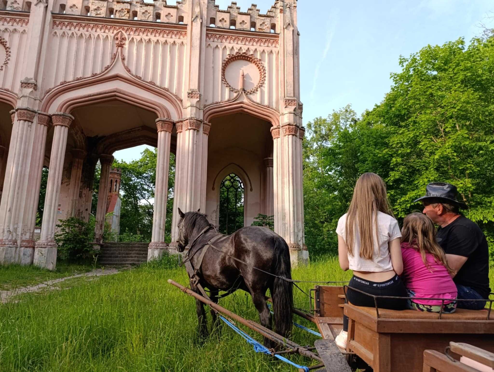 Domek max.6os z jacuzzi i sauną nad wodą Dowspuda zwierzęta, plaża