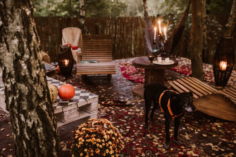 Jurta Dziki Jeleń z prywatnym jacuzzi i leśnym spa-Dzikolas glamping