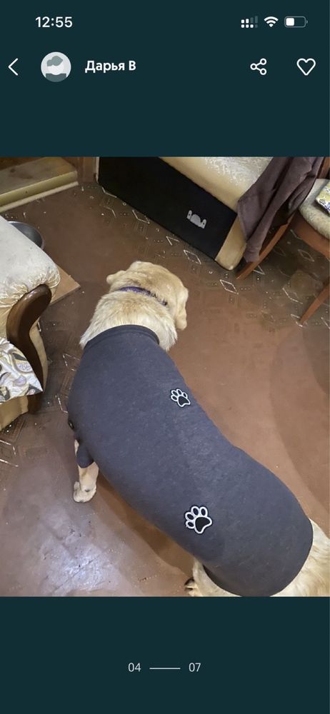 Шерстяной свитер - шерсть альпаки для средних/крупных пород собак