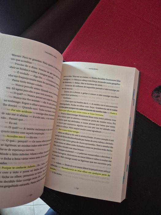Intocável- Tereheh Mafi