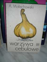 Warzywa cebulowe , Antoni Małachowski.