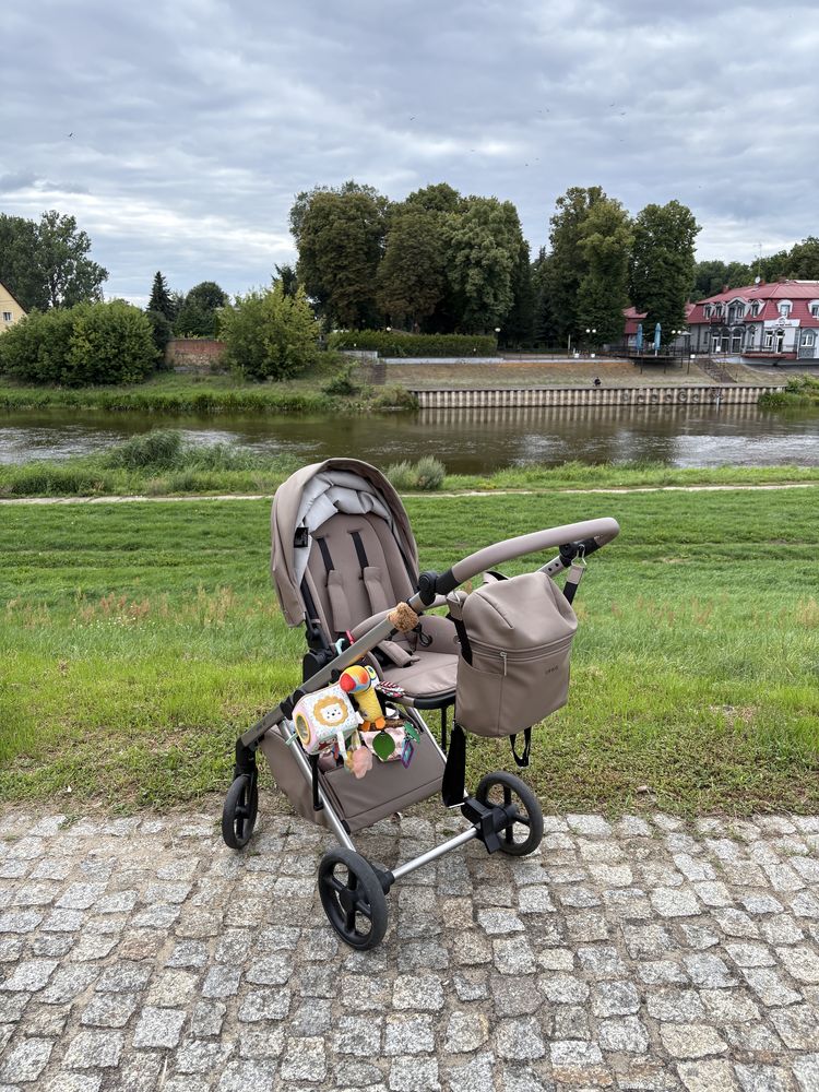 Wózek 2w1 Anex Eli