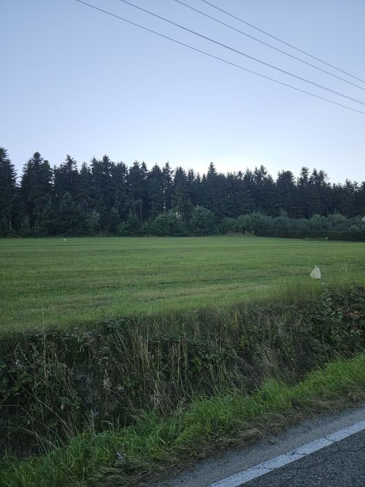 Sprzedam działkę budowlaną 20 ar