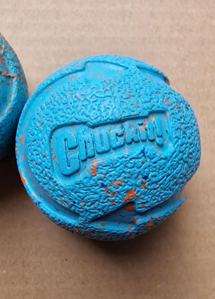 Chuckit Rebounce Ball M