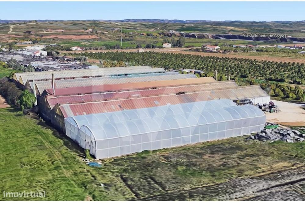 Terreno é composto por 3 estufas individuais com estrutura galvanizada