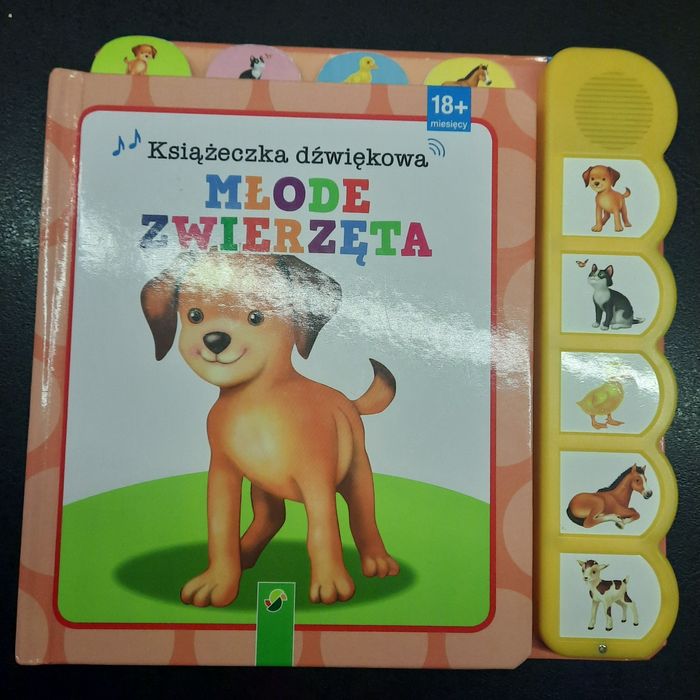 Książeczka dźwiękowa 