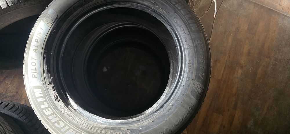 Michelin Pilot Alpin 5