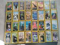Cassetes VHS colecção