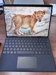 Microsoft  Surface pro 11 copilot snapdragon X plus 512GB