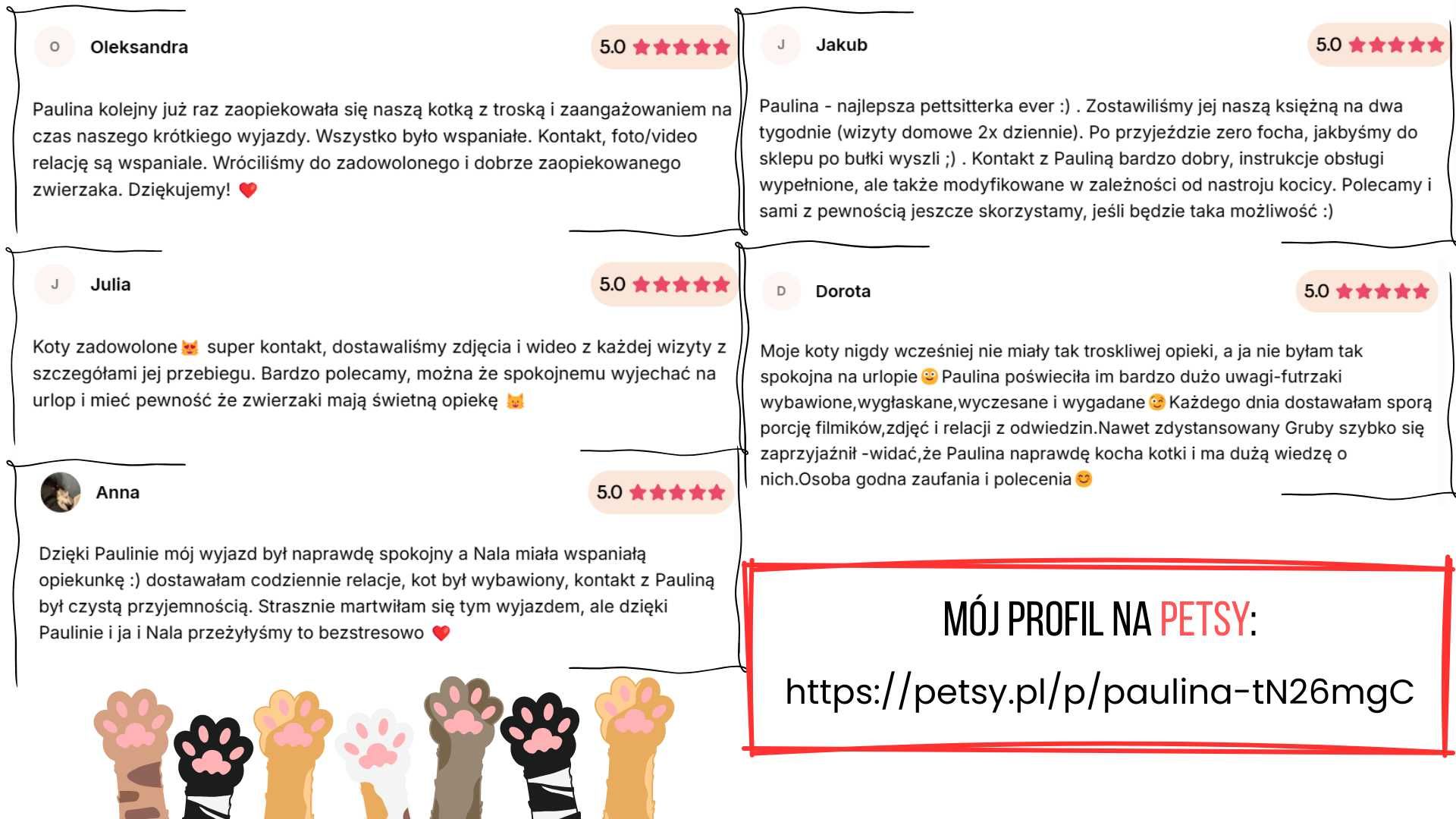 Catsitter | Opieka nad kotem w domu Właściciela | Koło, Konin, okolice
