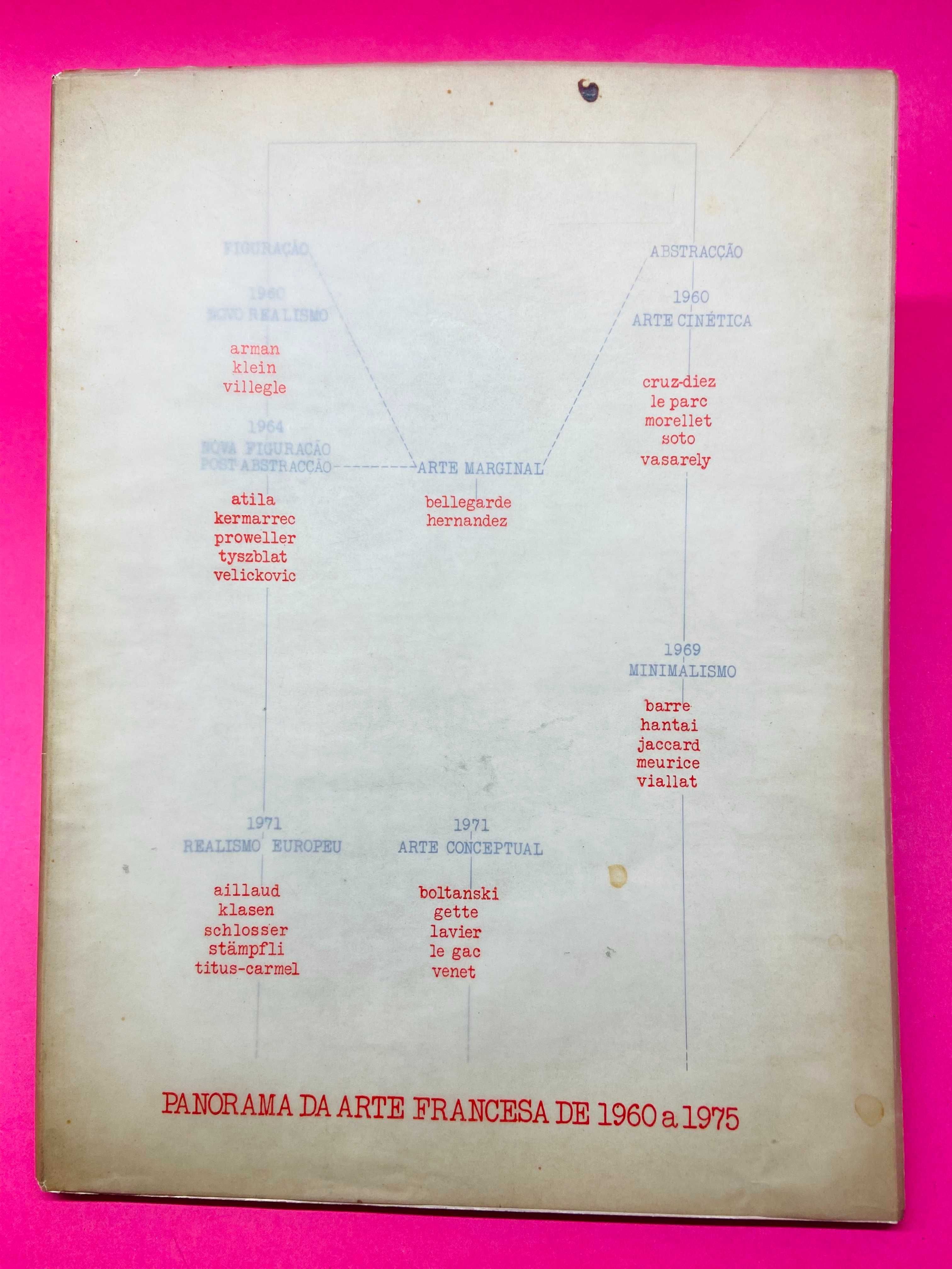 Panorama da Arte Francesa 1960/1975