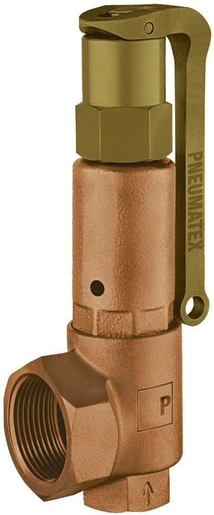 DSV 25-6,0 DGH Zawór bezpieczeństwa DN 25, 6,0 bar, brąz,