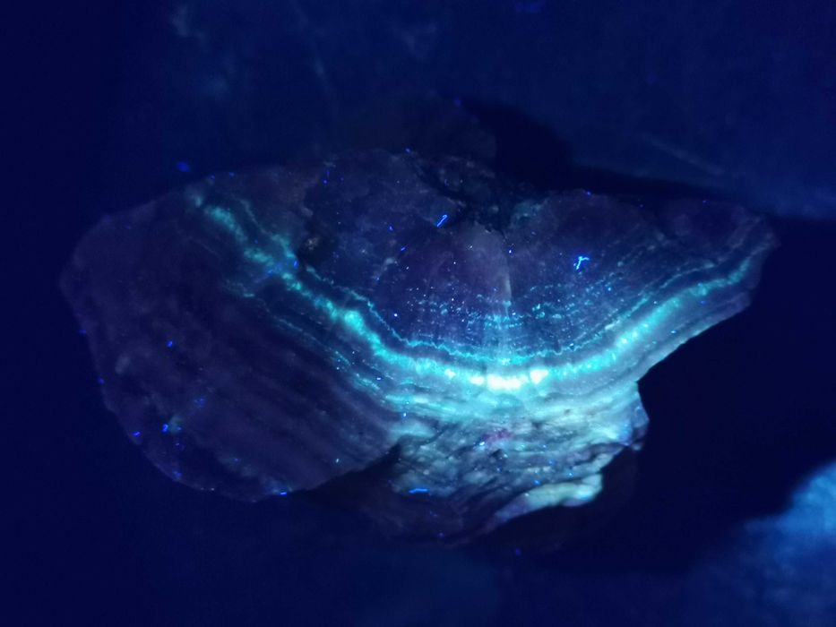 Agat księżycowy z Namibi