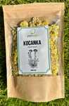 Kocanka Plantago