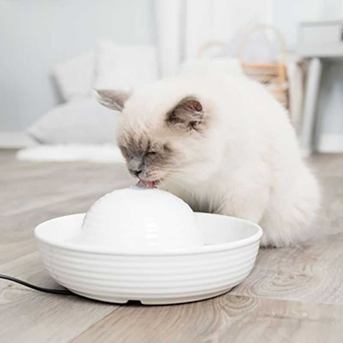 Nowa Vital Flow ceramiczne poidełko-fontanna 0,8l + 6 filtrów GRATIS