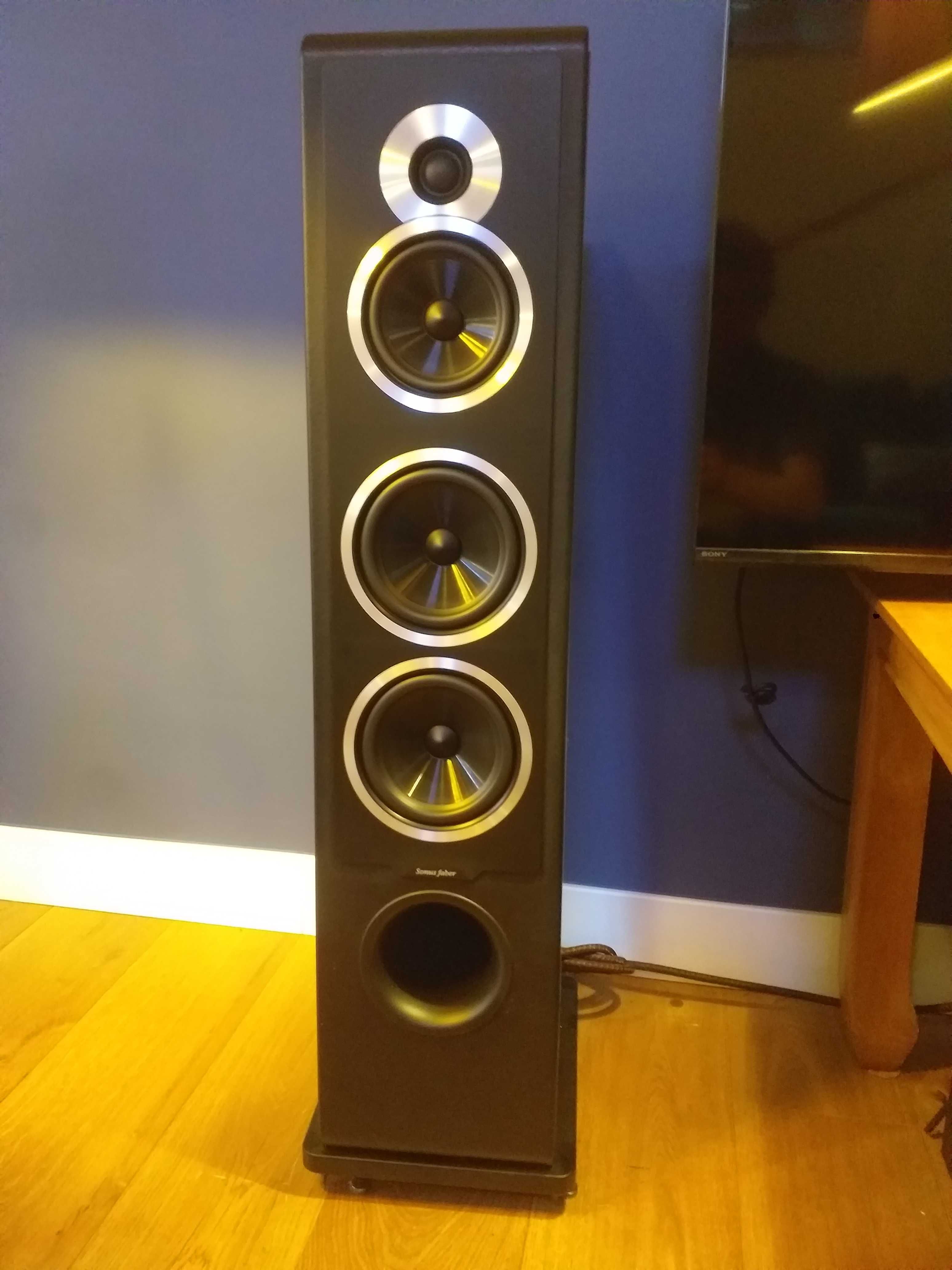 Kolumny Sonus  faber Chameleon T
