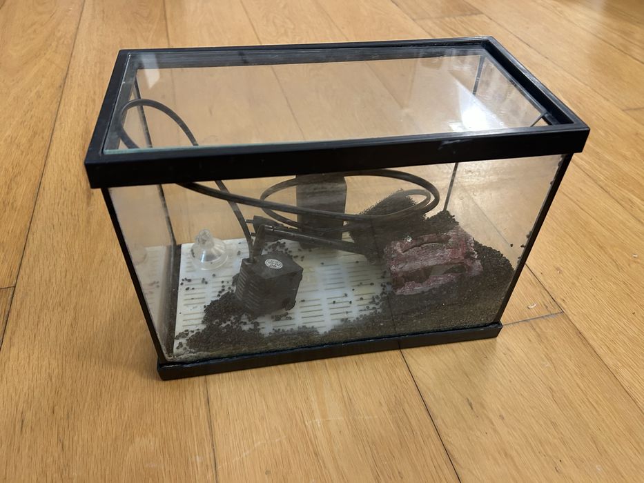 Aquario peixes agua fria