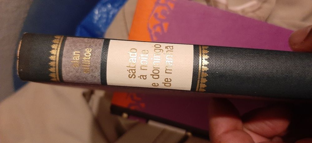 Livros sabado a noite domingo d manhã e Hospede de Job Entreg Alfragid