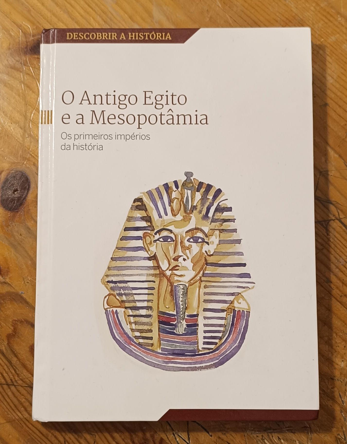 Livro: O Antigo Egito e a Mesopotâmia