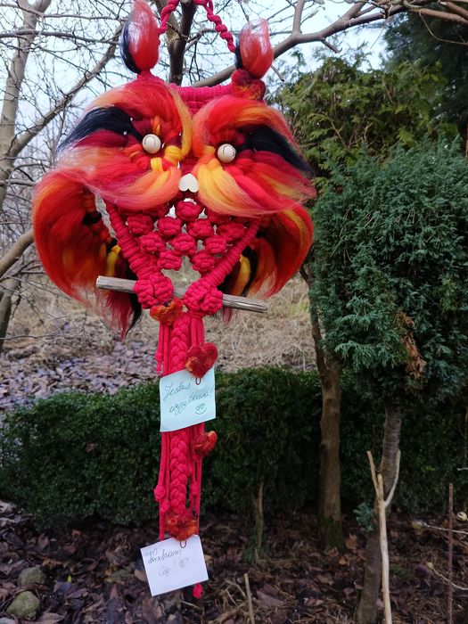 Czerwona sowa makrama