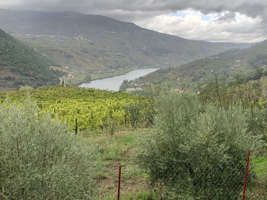 Terreno com habitacao