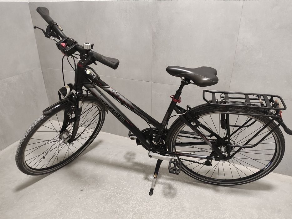 Rower damski Pegasus