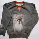 Bluza Wata Cukrowa r. 116/122