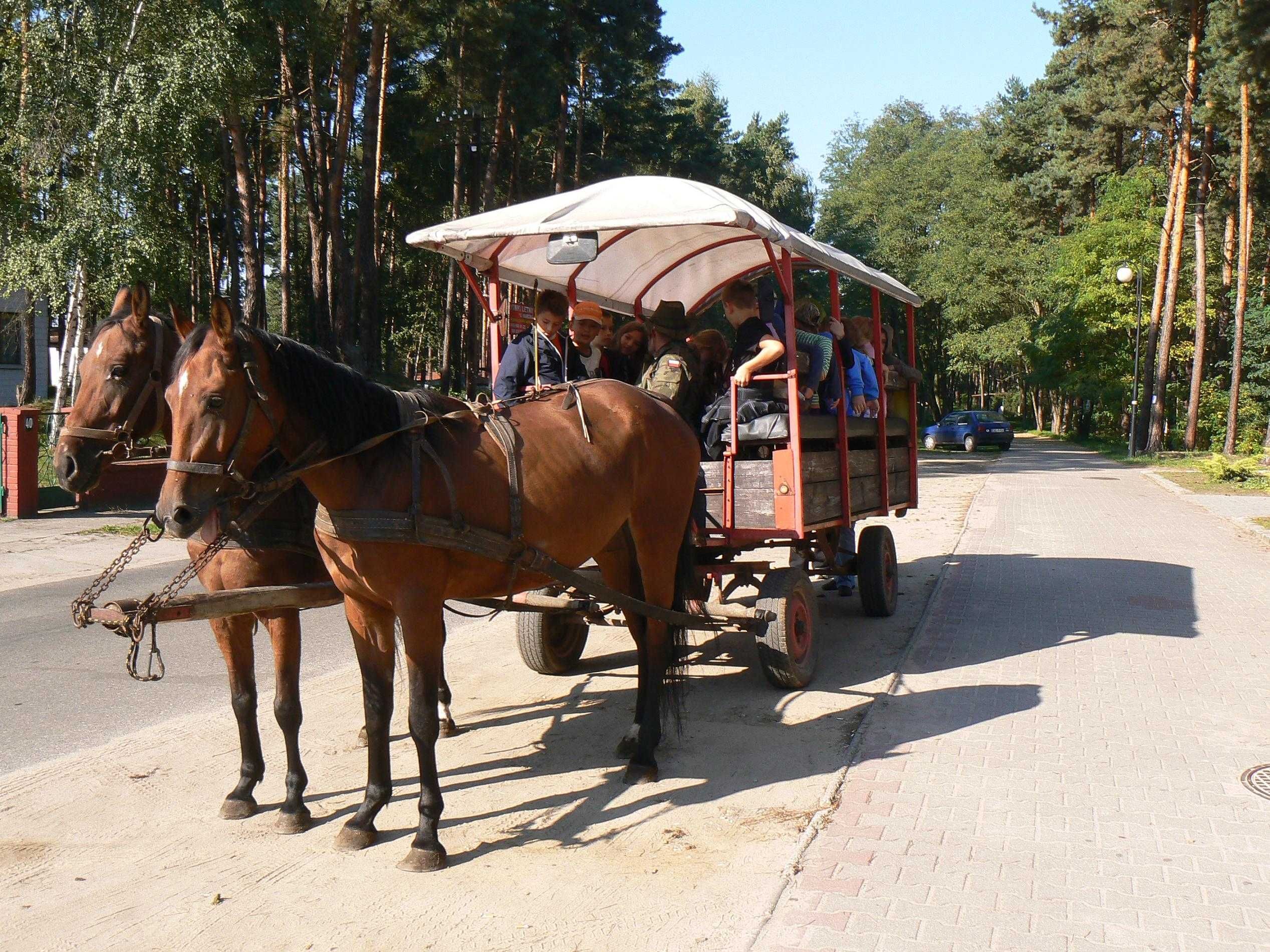 Domki nad jeziorem Pokoje Noclegi własna plaża  Wieleń k/Boszkowo