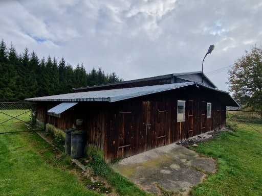 Osada Drzewce 2 siedlisko