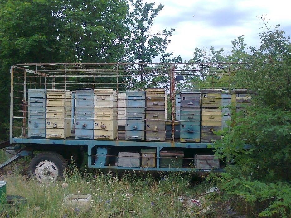 Павильйон для перевозки пчел .