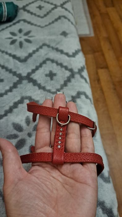 Продам шлейку для собак