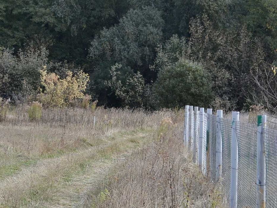 Участок для дома на опушке большого леса Андреевка Бориспольский р-н