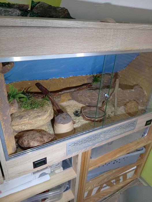 Dwa terraria na sprzedaż - przystosowane do skośnej ściany