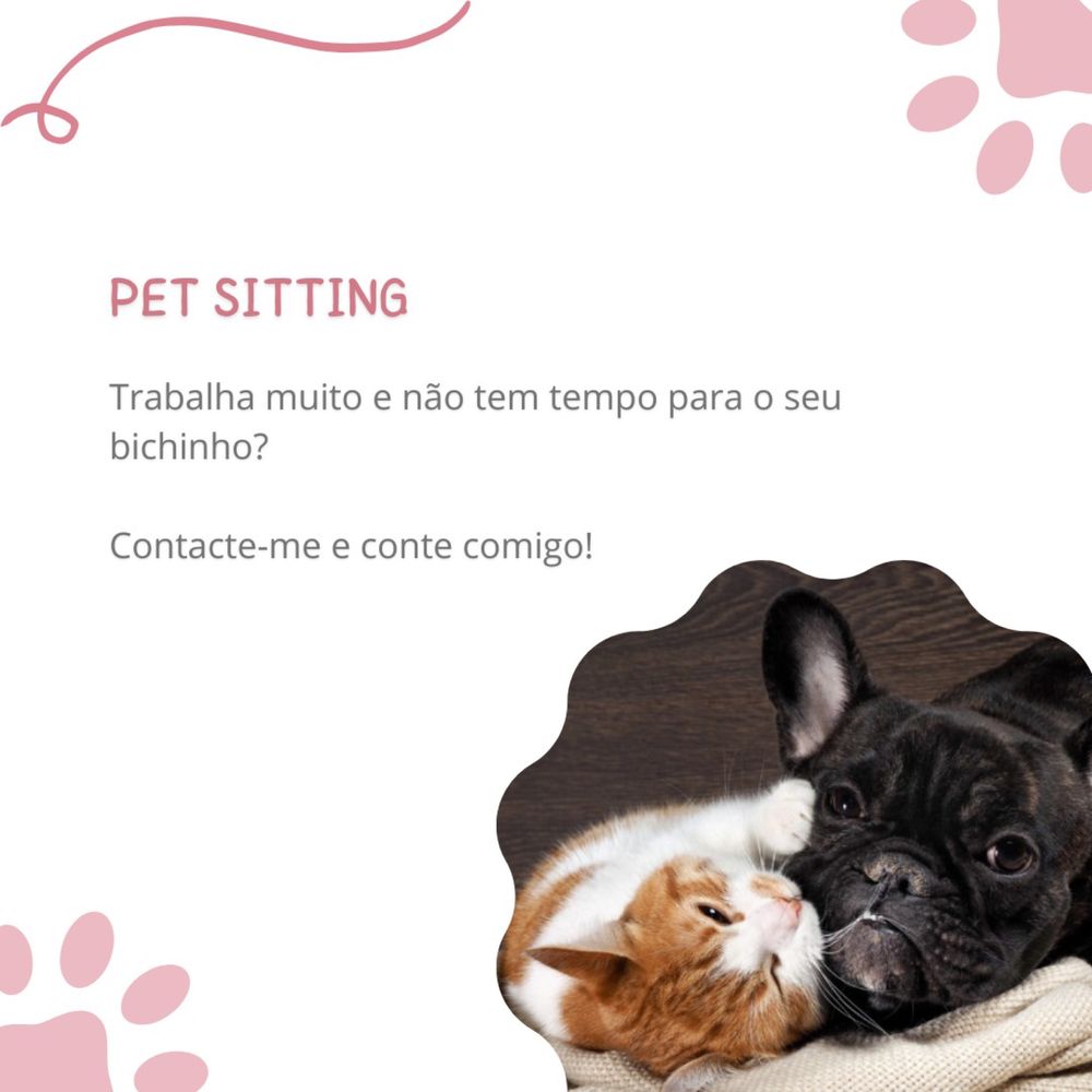 Pet sitting e dog walking